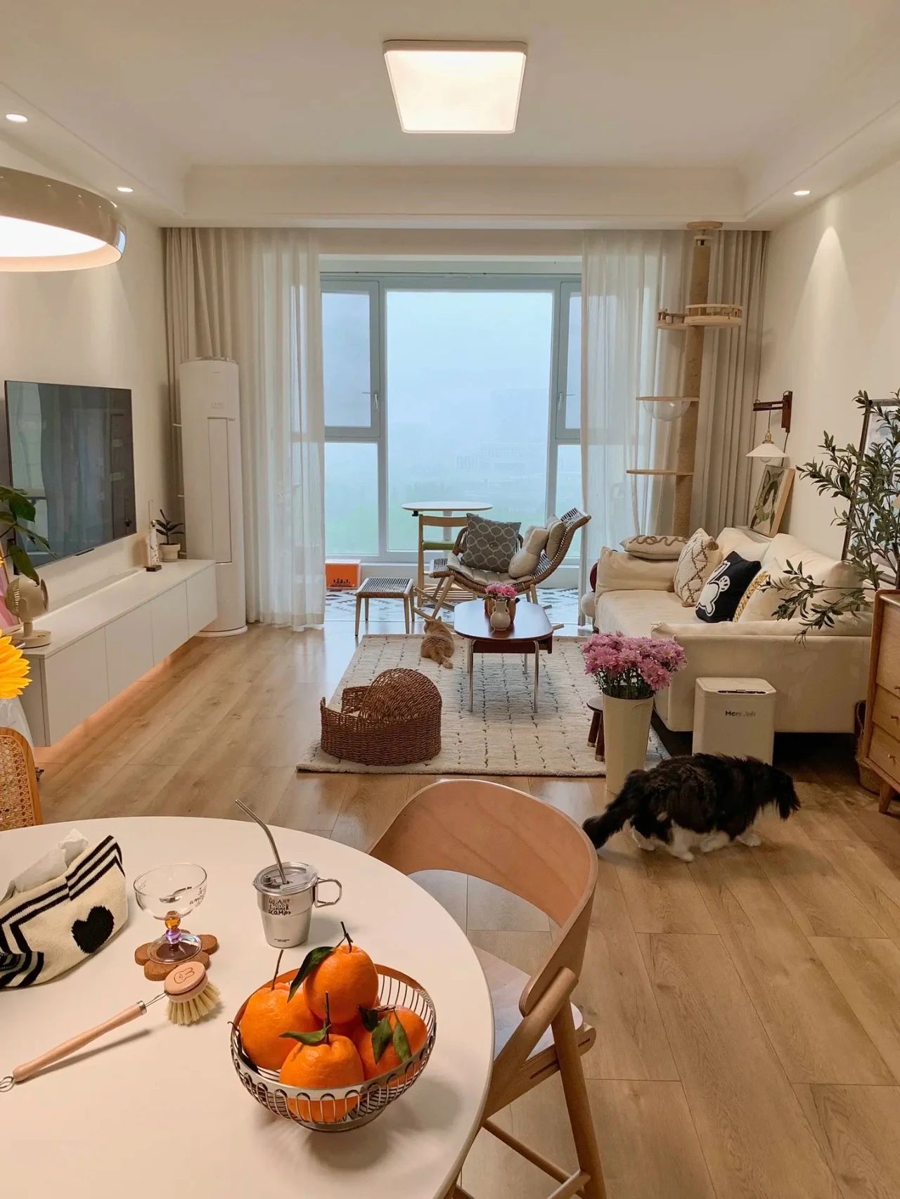 没什么特别，但是很舒服的家。