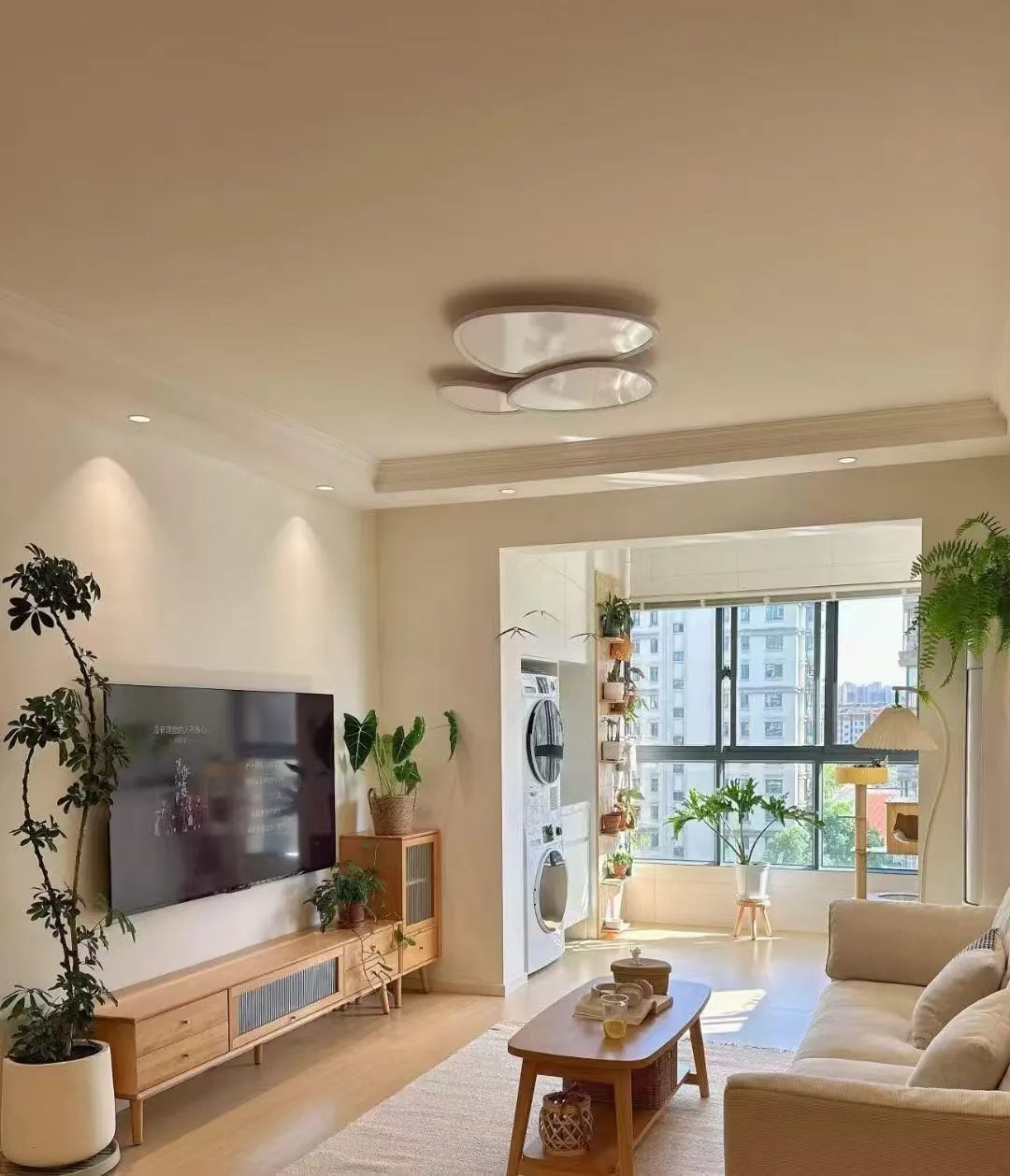 45㎡得小家，爱了爱了