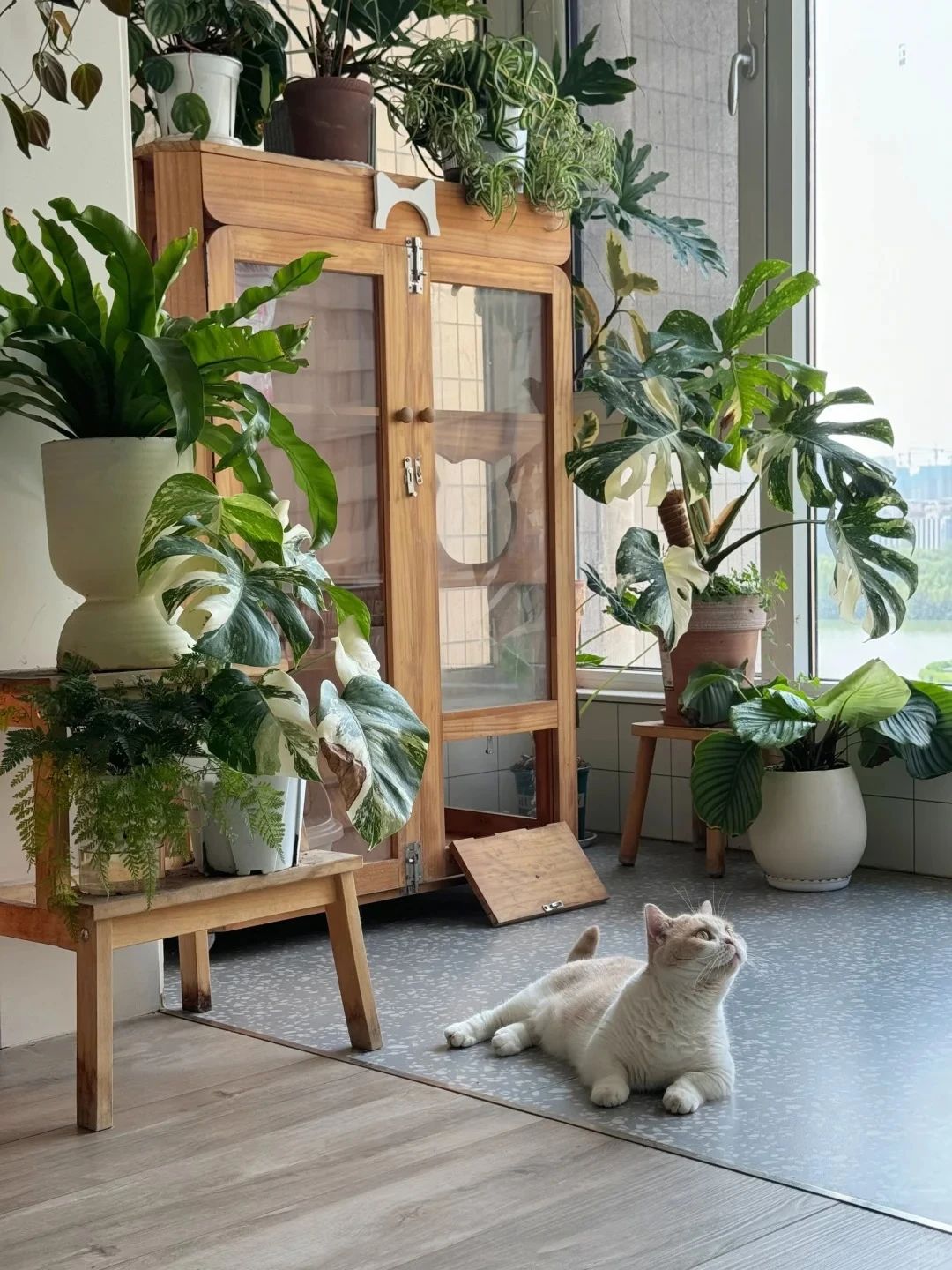 谁懂啊！这个家真的在“吸”我的疲惫！！